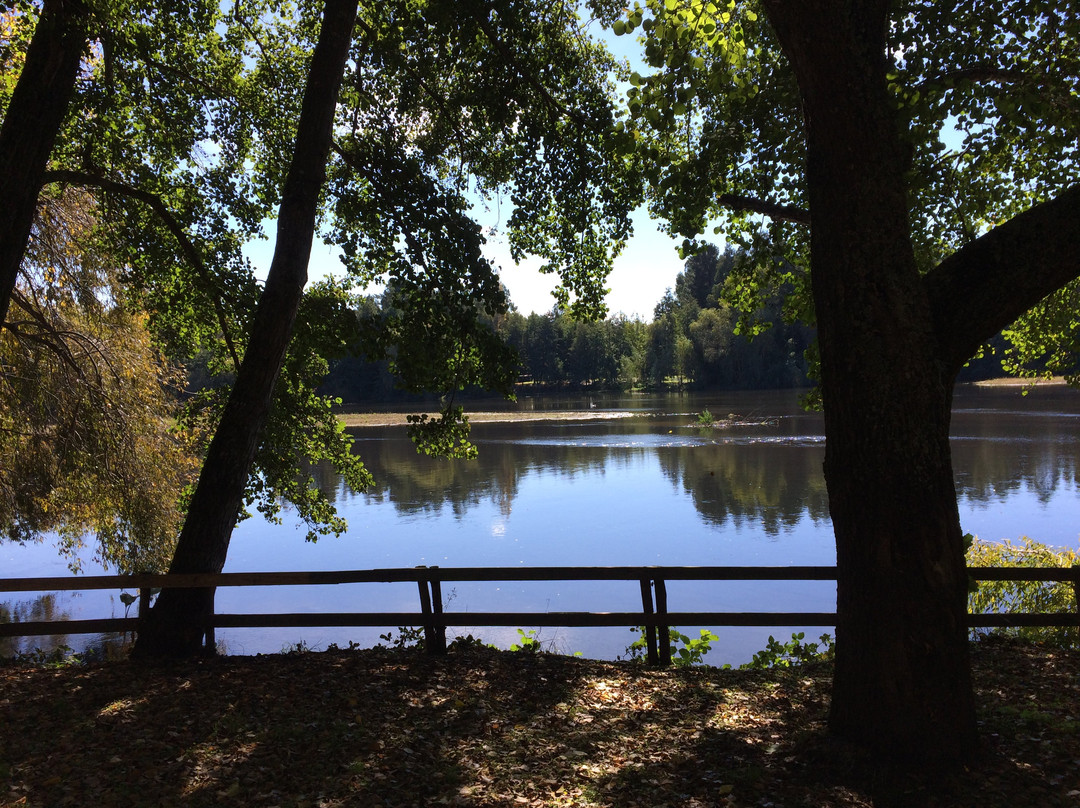 Camping & Hospedaje Rio Laja