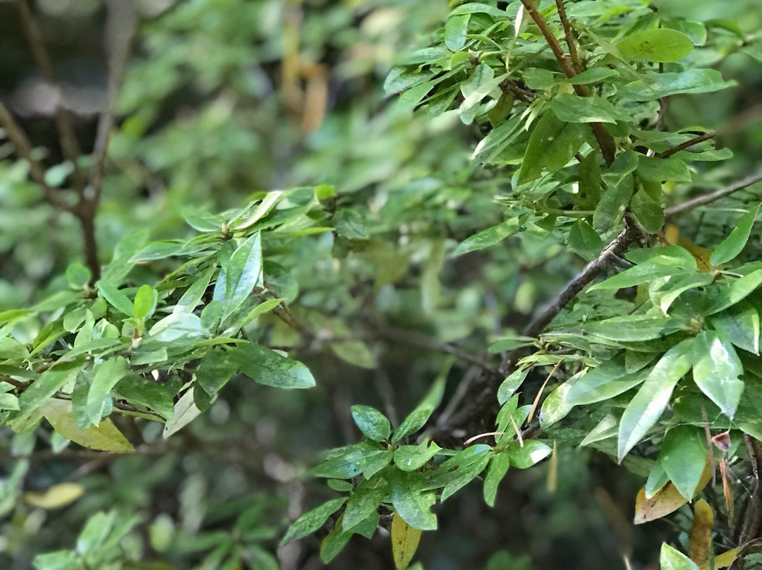 Lake Wilderness Arboretum-Maple Valley必去景点