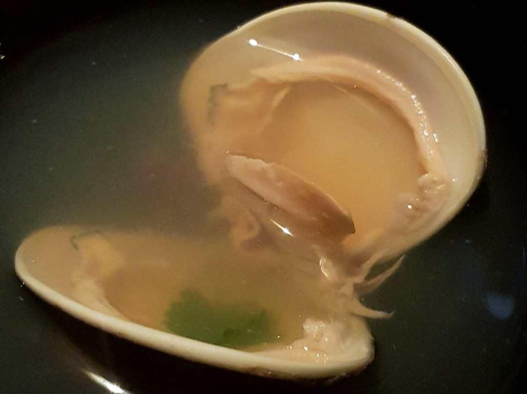 Tatsu Japanese Cuisine
