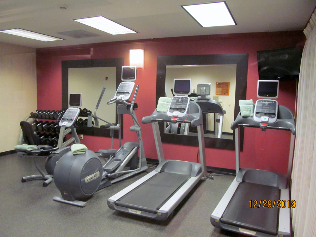 特雷霍特希尔顿花园旅馆主图