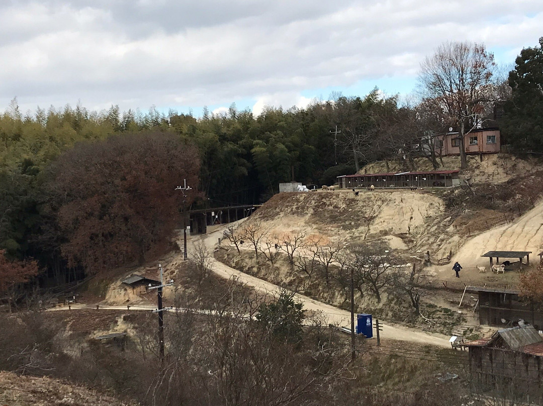 Shibukawa Zoo景点图片