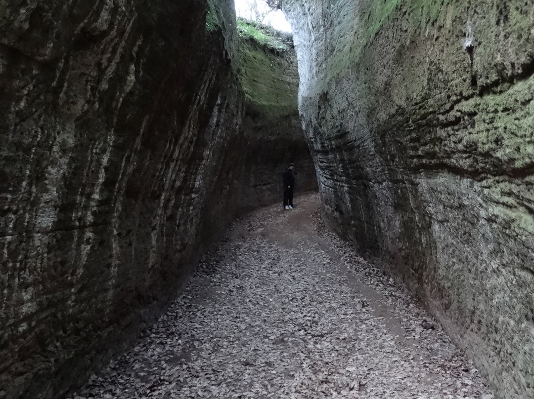 Parco degli Etruschi景点图片