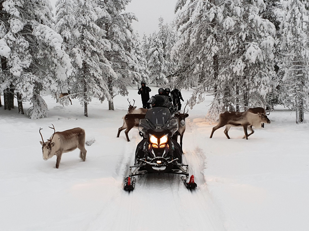 Aurora eMotion - Electric Snowmobile Safaris-罗瓦涅米必去景点