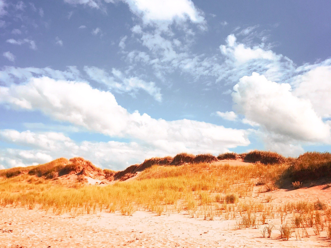 Blooming Point Beach-Mount Stewart必去景点
