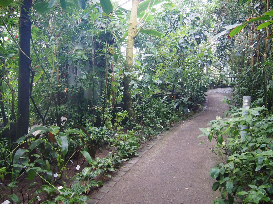 Ökologisch-Botanischer Garten景点图片