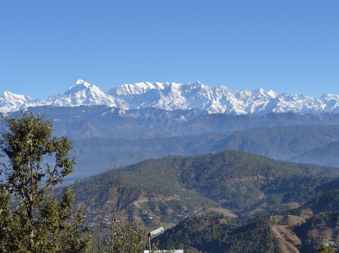 萨格尔酒店主图