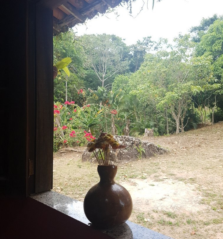 Sitio Flor e Ser