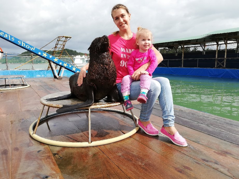 Seals Show-芽庄必去景点