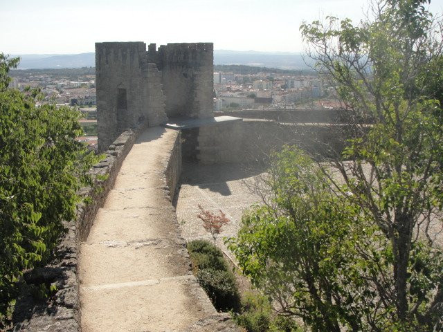 Castelo dos Templarios景点图片