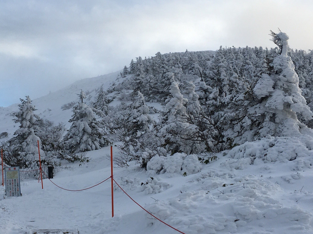 Zao Juhyo Festival-山形市必去景点