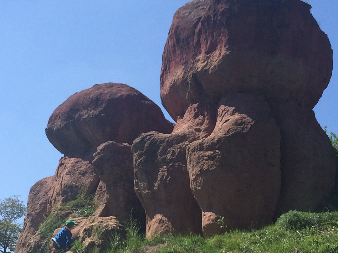 Red Giant Stone Mushrooms景点图片