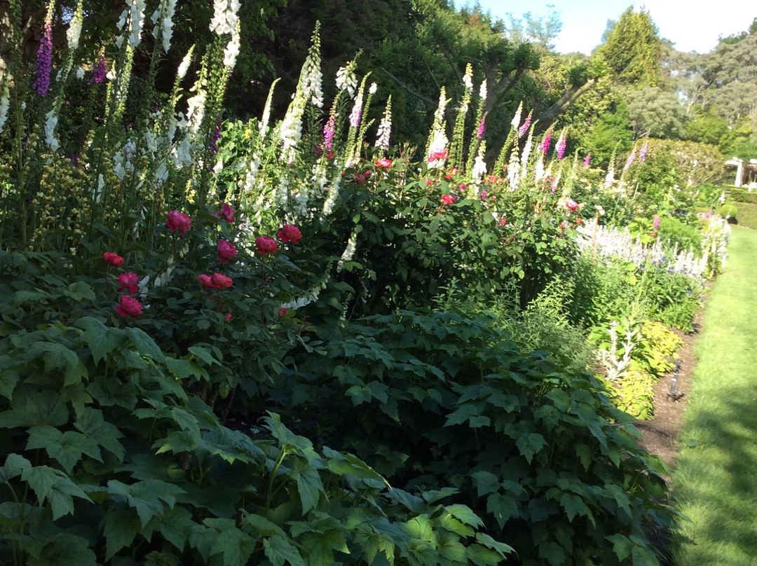 Moondance Manor Gardens景点图片