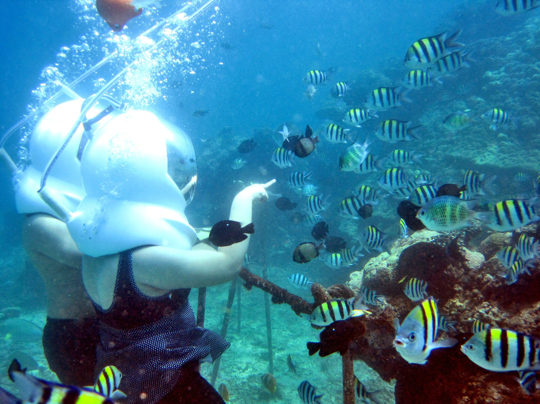 Seawalker at Hotel Vila Ombak-吉利特拉万安必去景点