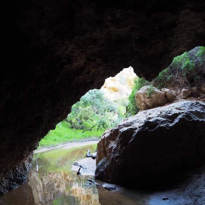 Stockyard Gully National Park景点图片