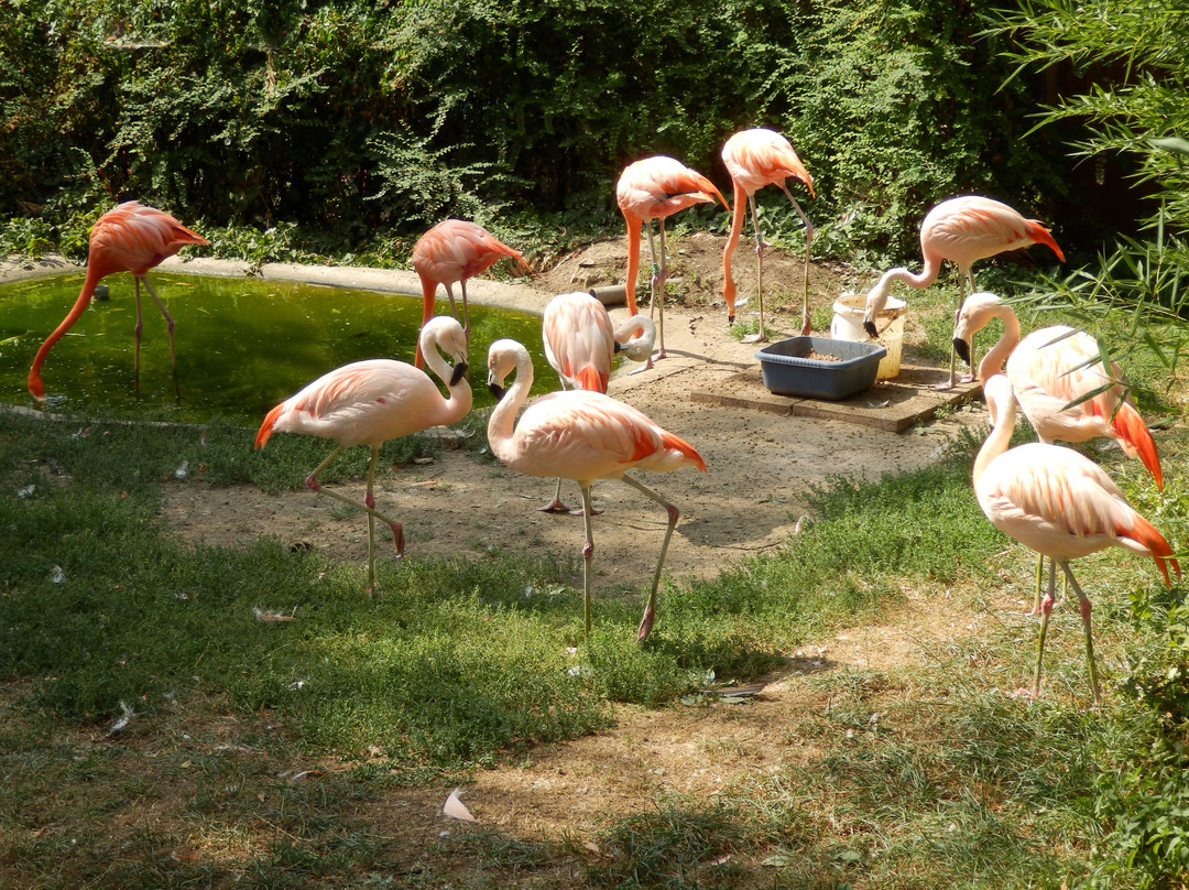 Tierpark