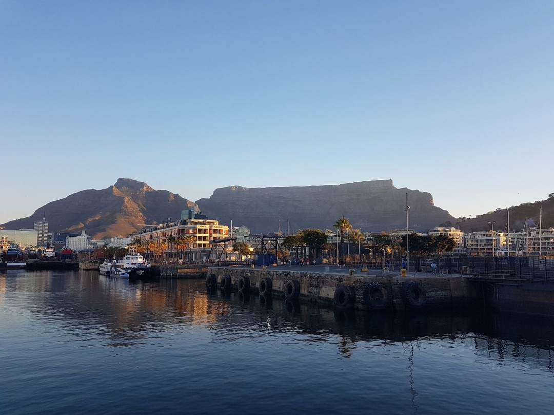 Travel Pilot-开普敦中心区必去景点