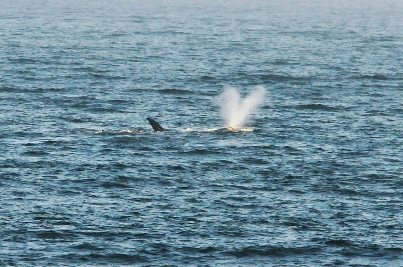 TourScape-St. James必去景点
