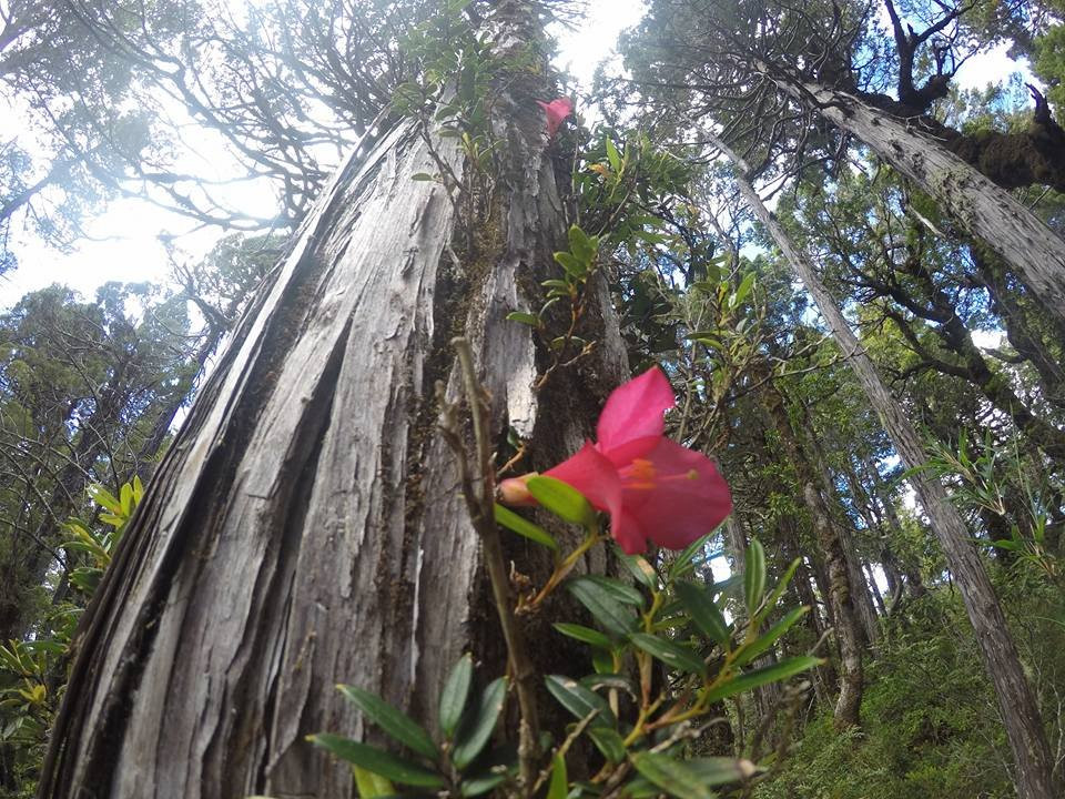 TURISMOSOSTENIBLE.CL-Ciudad La Union必去景点