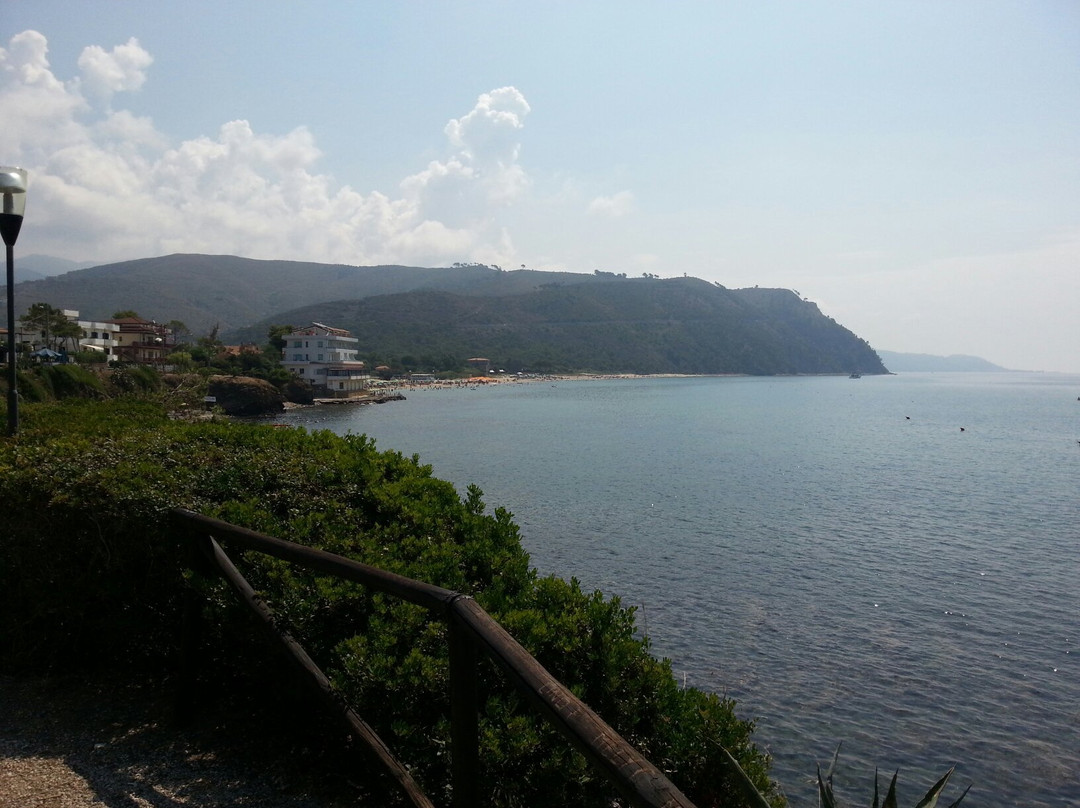 Sentiero “Antica Oliarola”景点图片