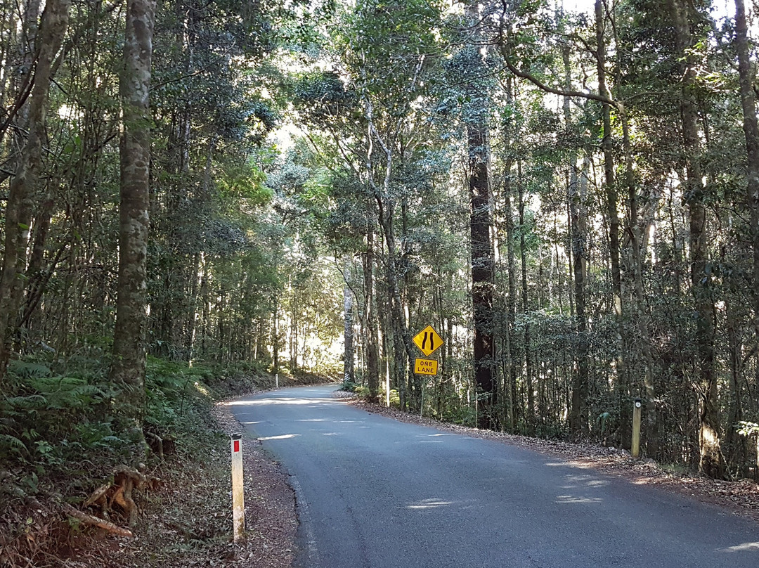 Kamarun Lookout-Scenic Rim必去景点