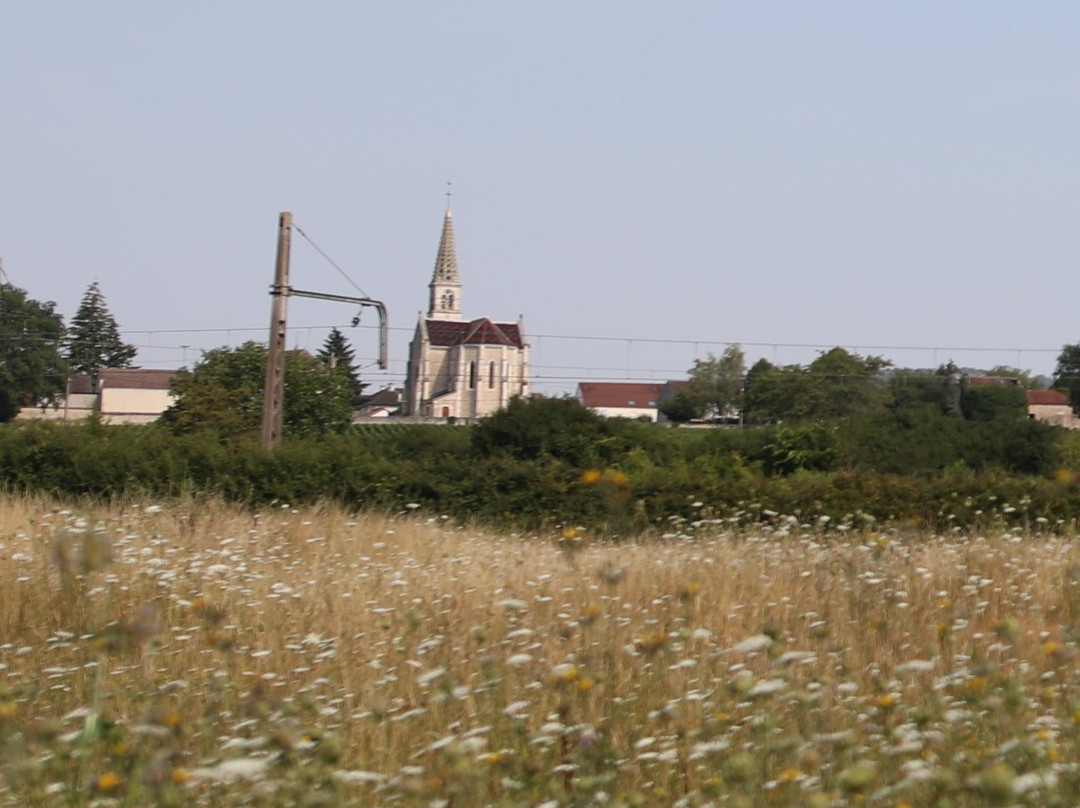 Eglise Saint Pierre Saint Maur景点图片