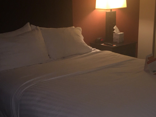 Holiday Inn Express Hoge Hall