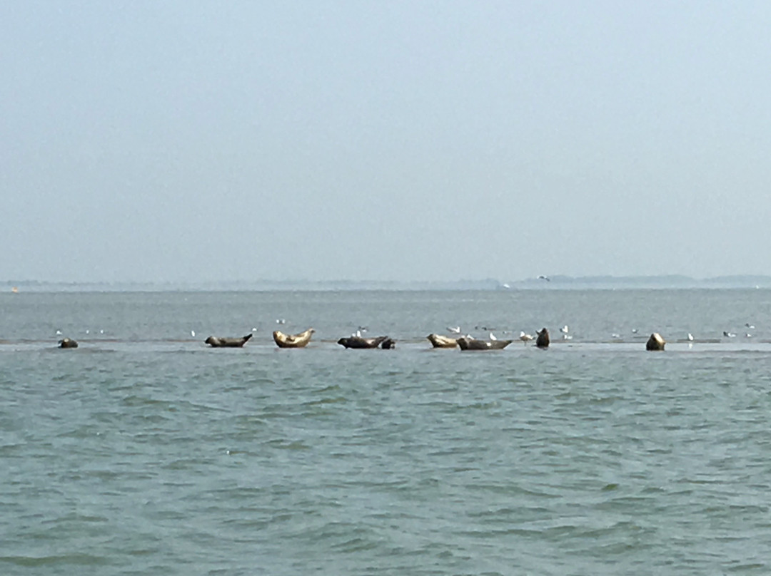 Knokke Boat Zeebrugge-泽布鲁日必去景点