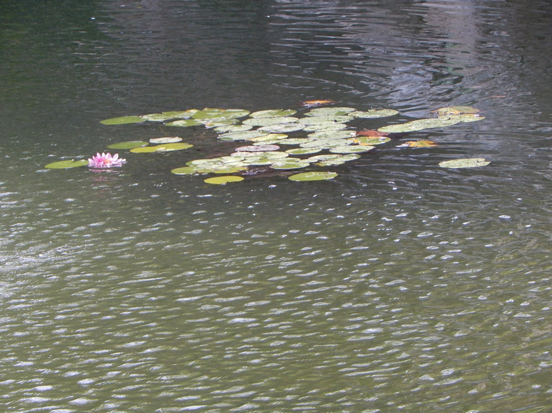 Jardin du Château d'eau-赛特必去景点