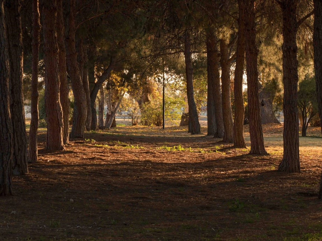 Parque Fundadores-Delicias必去景点