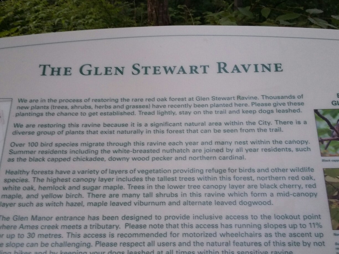 Glen Stewart Ravine景点图片