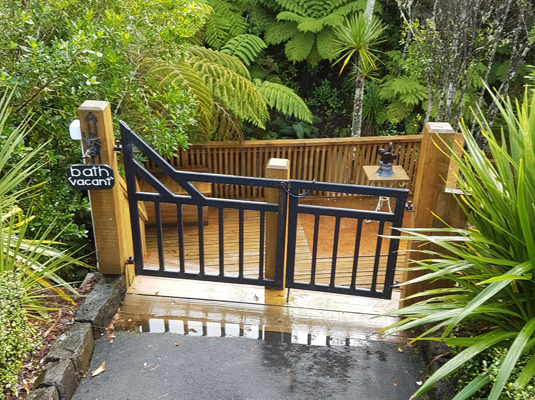 Warblers Retreat主图