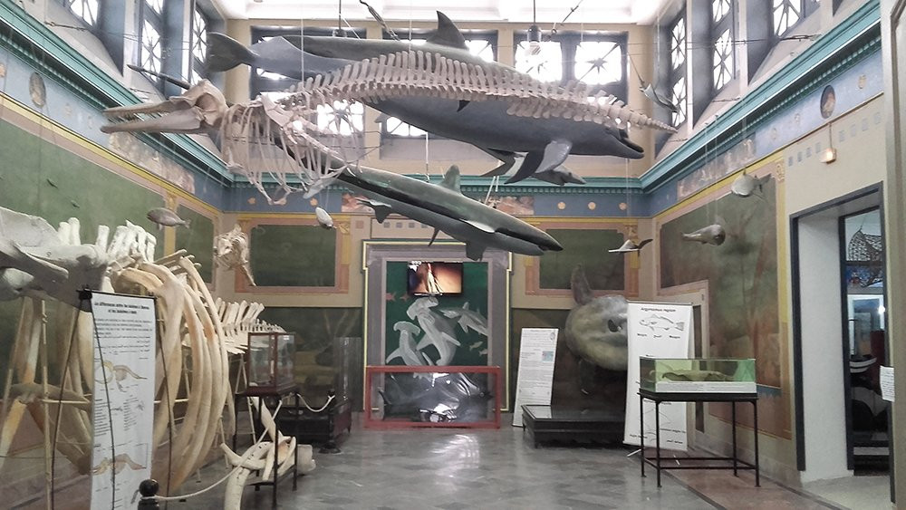 Oceanographic Museum-迦太基必去景点