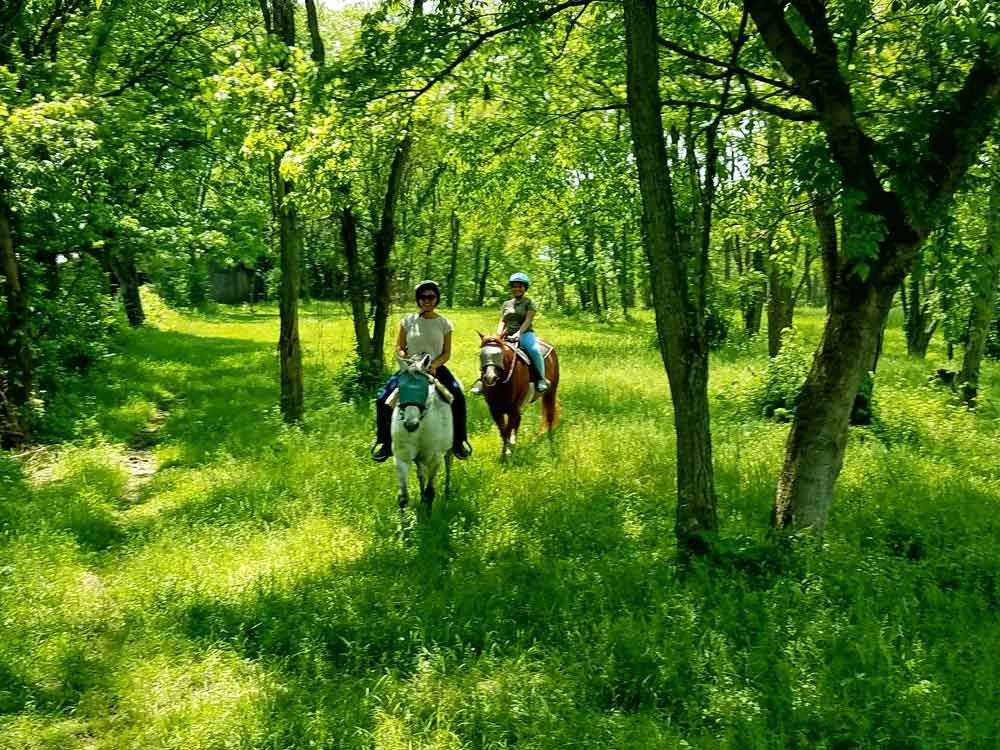 First Farm Inn Horseback Riding-Petersburg必去景点