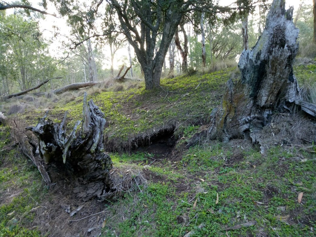 Towarri National Park-Middle Brook必去景点