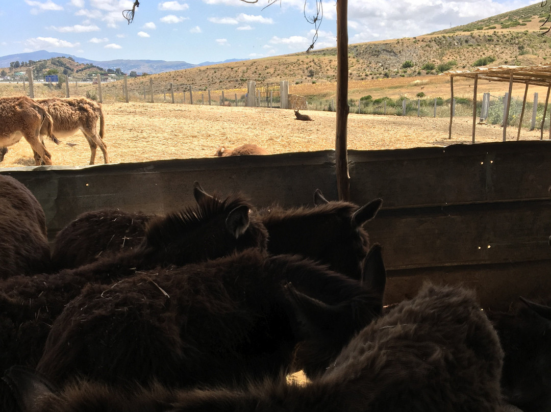 Ghdir Defla旅游景点-SFT - Tangier Wildlife Sanctuary