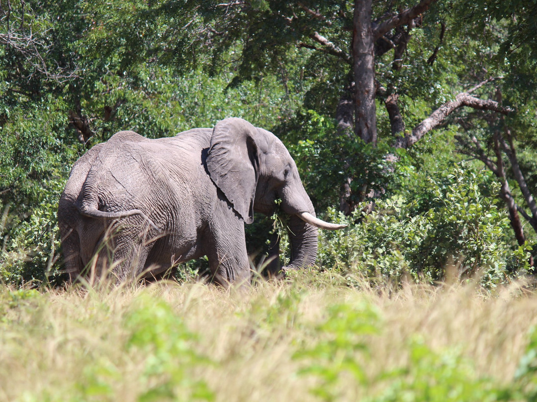 Zululand Explorers-圣露西亚必去景点