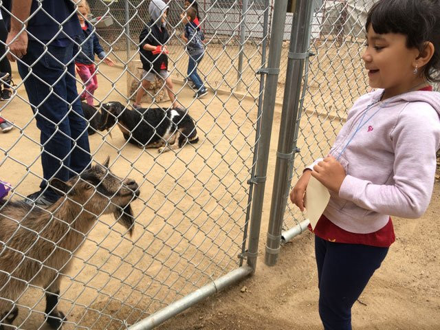 Orange County Zoo-橘子郡必去景点
