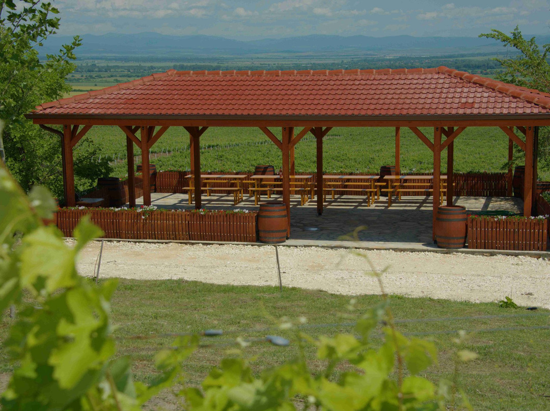 Zagreus Winery-Parvomai必去景点