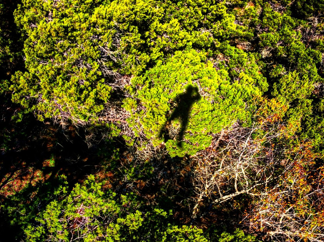 Wimberley Zipline Adventures景点图片