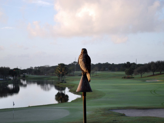 Abacoa Golf Course-朱庇特必去景点