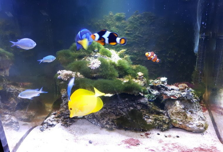 Achill Experience, Aquarium & Visitor Centre-Achill Island必去景点