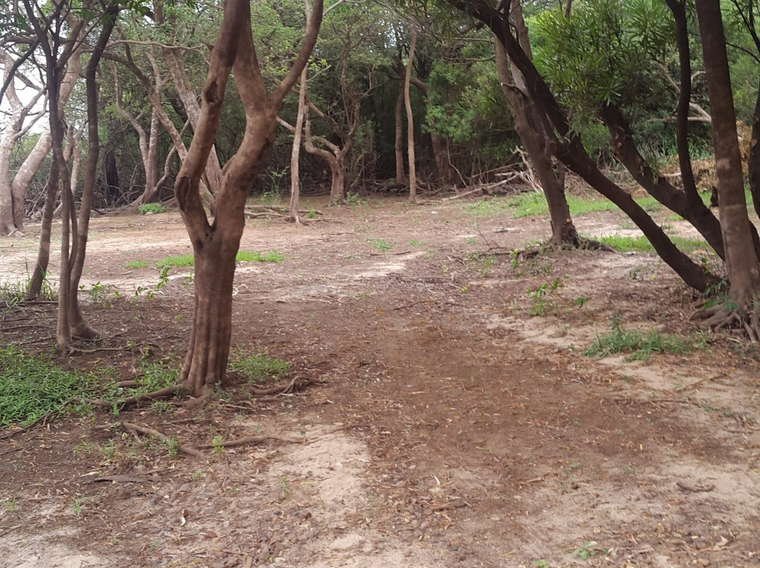 Complejo Costa Alta主图