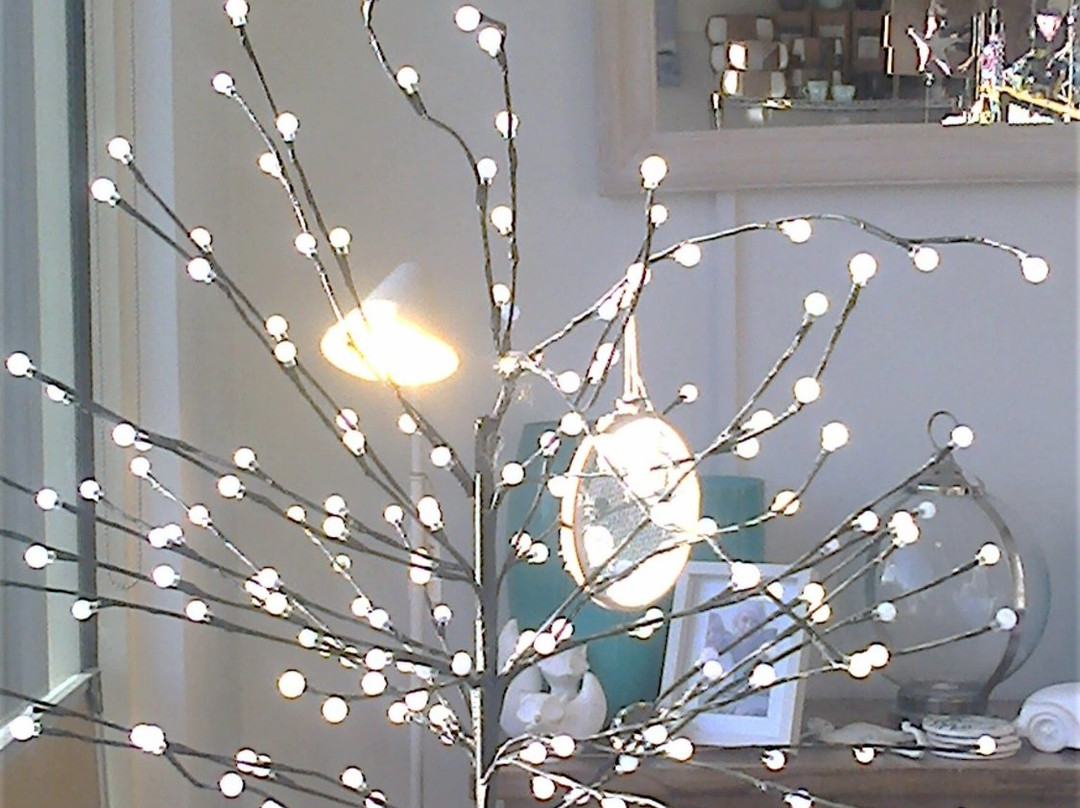 Coastal & Country Property Solutions-Aireys Inlet必去景点