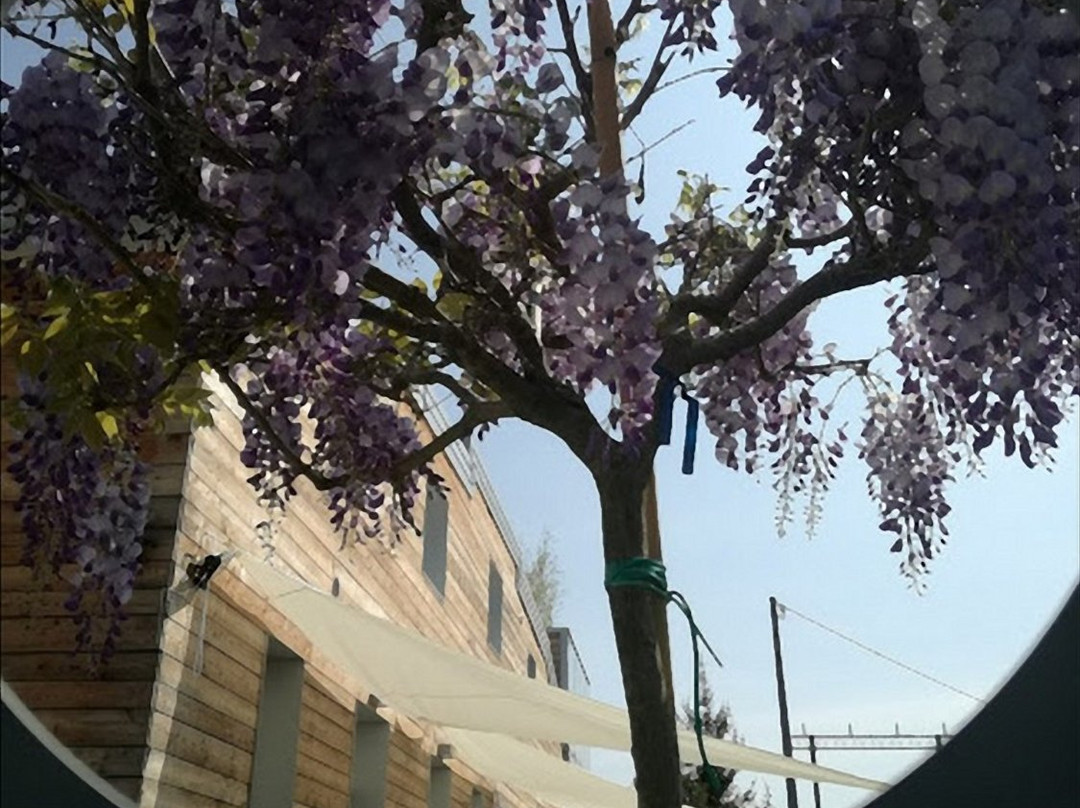Via Dei Dori 2B&B主图