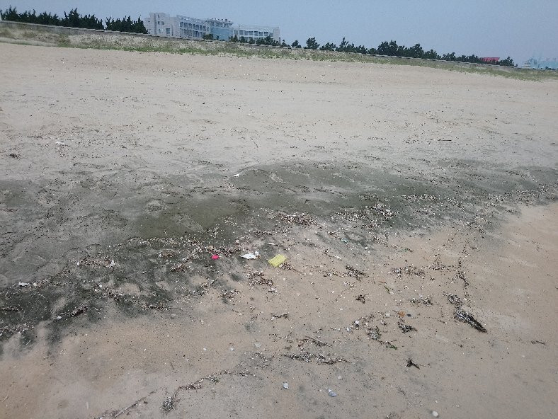 乳山银滩-乳山市必去景点