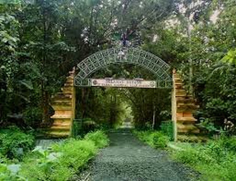 Tour Banyuwangi-巴纽旺宣必去景点