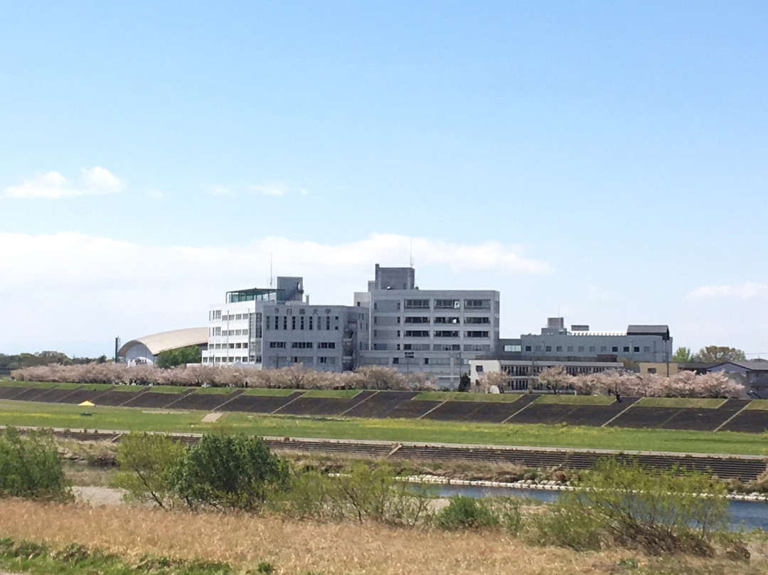 Oyama City Museum-小山市必去景点