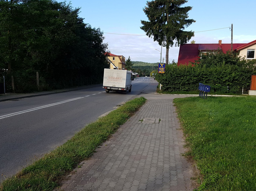 Wiselka旅游攻略图片