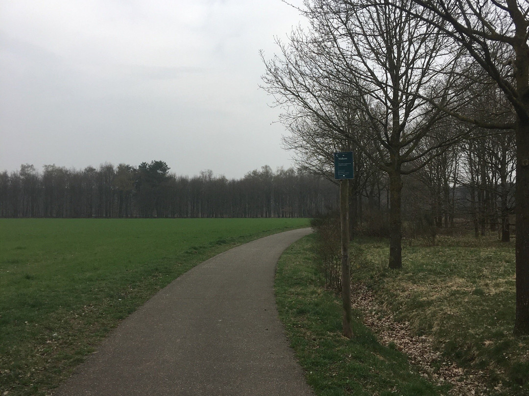 Stichting het Limburgs Landschap-Lomm必去景点