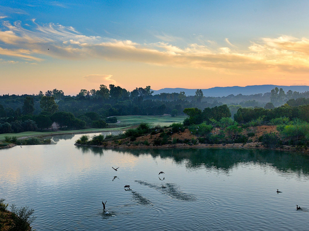 Citrus Golf Club景点图片